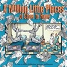 John McPherson - A Million Little Pieces of Close to Home