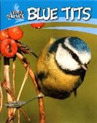Sally Morgan - Blue Tits
