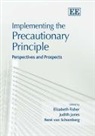 Elizabeth Fisher, Elizabeth Jones Fisher, Judith S. (EDT)/ Schomberg Jones, Elizabeth Fisher, Judith Jones, Rene Von Schomberg - Implementing the Precautionary Principle