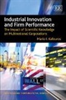 Mario I. Kafouros - Industrial Innovation and Firm Performance