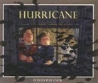 David Wiesner - Hurricane