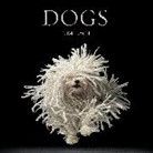 Tim Flach - Dogs