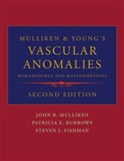 Patricia E. Burrows, Steven J. Fishman, John B. Mulliken, John B. (EDT)/ Barrows Mulliken, P. E. Barrows, Patricia E Burrows... - Vascular Anomalies