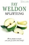 Fay Weldon, Weldon Fay - Splitting