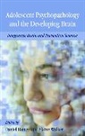 Daniel (EDT)/ Walker Romer, Daniel Romer, Elaine F. Walker - Adolescent Psychopathology And the Developing Brain