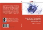 Pierre Delplace, Delplace-P - Etats de bord et cones de dirac