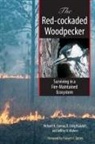 Richard Conner, Richard Rudolph Conner, D. Craig Rudolph, Jeffrey R. Walters - Red-Cockaded Woodpecker