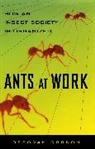 Deborah Gordon, Gordon Deborah - Ants at Work