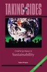 Robert Taylor, Robert W. Taylor, Robert W. Taylor - Clashing Views in Sustainability