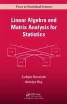 Sudipt Banerjee, Sudipto Banerjee, Sudipto (University of California Banerjee, Sudipto Roy Banerjee, Banerjee Sudipt, Banerjee Sudipto... - Linear Algebra and Matrix Analysis for Statistics