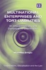 Muzaffer Eroglu - Multinational Enterprises and Tort Liabilities
