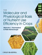 Peter Barraclough, Barraclough Peter, Hawkesford, Hawkesford Hawkesford, Malcolm Hawkesford, Malcolm J Hawkesford... - The Molecular Basis of Nutrient Use Efficiency in Crops