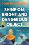 Laurie Colwin - Shine on Bright and Dangerous Object