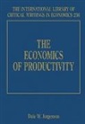 Dale Jorgenson, Dale Jorgenson - Economics of Productivity