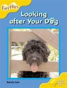 Bernie Carr, Bernie Page Carr, Gill Howell, Mary Mackill, Liz Miles, Thelma Page - Oxford Reading Tree: Level 5: Fireflies: Looking After Your Dog