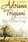 Adriana Trigiani - Big Stone Gap
