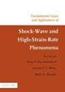 M a Meyers, M. A. Meyers, M.A. Meyers, Marc A. Meyers, L E Murr, L. E. Murr... - Fundamental Issues and Applications of Shock Wave and High Strain