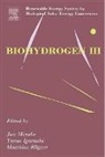 Yasuo Asada, Yasuo (Nihon University College of Science and Technology Asada, Asada Yasuo, Yasuo Igarashi, Yasuo (University of Tokyo Igarashi, Igarashi Yasuo... - Biohydrogen III