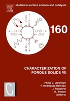 Philip Llewellyn, Philip (Ccus R&amp;d Program Manager Llewellyn, Philip (Laboratoire Des Materiaux Divis Llewellyn, Philip Reinoso Llewellyn, Francisco Rodríguez Reinoso, Philip Llewellyn... - Characterization of Porous Solids VII