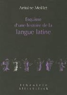 Antoine Meillet, Jean Perrot, Antoine Meillet, Antoine (1866-1936) Meillet, MEILLET ANTOINE, MEILLET/ANTOINE - Esquisse d'une histoire de la langue latine