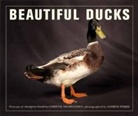 Christie Aschwanden, Liz Wright, Andrew Perris, Andrew Perris - Beautiful Ducks