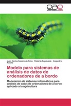 Ros, Alejandro Rosete, Robert Sepúlveda, Roberto Sepúlveda, Juan Carlo Sepúlveda Peña, Juan Carlos Sepúlveda Peña - Modelo para sistemas de análisis de datos de ordenadores de a bordo