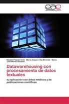 María José Martín Bautista, Elizabe Tejeda Ávila, Elizabet Tejeda Ávila, María Ampar Vila Miranda, María Amparo Vila Miranda - Datawarehousing con procesamiento de datos textuales