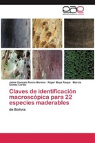 Góm, Marcia Gómez Cortéz, Róge Moya Roque, Róger Moya Roque, Jaime Gonzal Rivero Moreno, Jaime Gonzalo Rivero Moreno - Claves de identificación macroscópica para 22 especies maderables