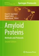 Migue Calero, Miguel Calero, María Gasset, Einar M. Sigurdsson - Amyloid Proteins