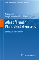 Micha Amit, Michal Amit, Itskovitz-Eldor, Itskovitz-Eldor, Joseph Itskovitz-Eldor - Atlas of Human Pluripotent Stem Cells