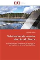 Mohamed Ghanmi, Ghanmi-M - Valorisation de la resine des