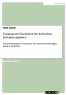 Felix Autor, Felix - Umgang mit Emotionen bei kritischen Lebensereignissen