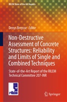 Deny Breysse, Denys Breysse - Non-Destructive Assessment of Concrete Structures: Reliability and Limits of Single and Combined Techniques