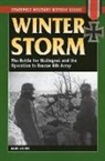 Hans Wijers - Winter Storm