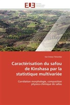 Van Emery Tshiombe, Tshiombe-V - Caracterisation du safou de