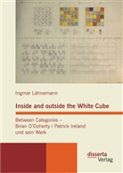 Ingmar Lähnemann - Inside and outside the White Cube. Between Categories