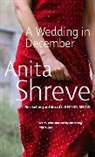 Anita Shreve - A Wedding in December