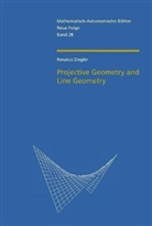Renatus Ziegler - Projective Geometry and Line Geometry
