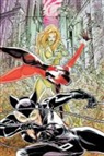 Paul Dini - Gotham City Sirens