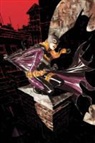 Bryan Miller, Bryan Q. Miller - Batgirl