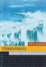 Felix Guattari - Chaosmosis