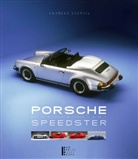 Andreas Gabriel, Semjon Bakroew, Andreas Gabriel - Porsche Speedster