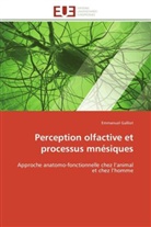 Emmanuel Galliot, Galliot-E - Perception olfactive et processus