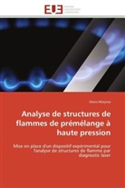 Alexis Matynia, Matynia-A - Analyse de structures de flammes