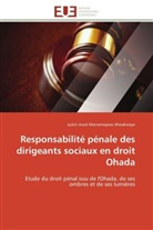 Justin Joost Monsenepwo Mwakwaye, Monsenepwo mwakwaye-, Monsenepwo Mwakwaye-J - Responsabilite penale des