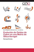 Maria Magdalena Montsserrat C Turrubiartes, Maria Magdalena Montsserrat C. Turrubiartes - Evolución de Oxidos de Cobre en una Matriz de Silica-Xerogel