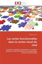 Matthieu Vanni, Vanni-M - Les cartes fonctionnelles dans le
