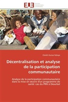 Cheikh Oumar Ndiaye, Ndiaye-C - Decentralisation et analyse de la
