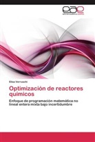 Elisa Verruschi - Optimización de reactores químicos