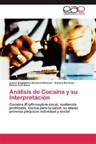 Juana M. Becerra-Rosales, Juana Magdalen Becerra-Rosales, Juana Magdalena Becerra-Rosales, Elsi Jiménez, Auror Martinez, Aurora Martinez... - Análisis de Cocaína y su Interpretación